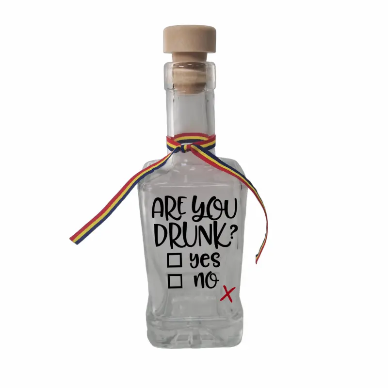 Are you drunk, sticla cu mesaj patrata, 250 ml, model divgs318 01